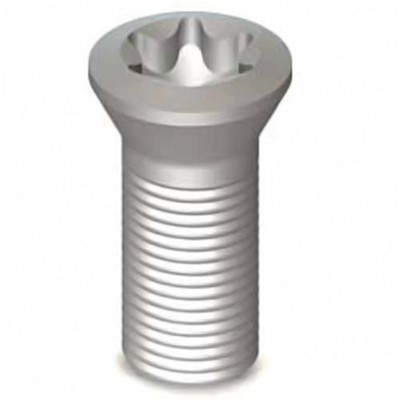 SCREW INSERT